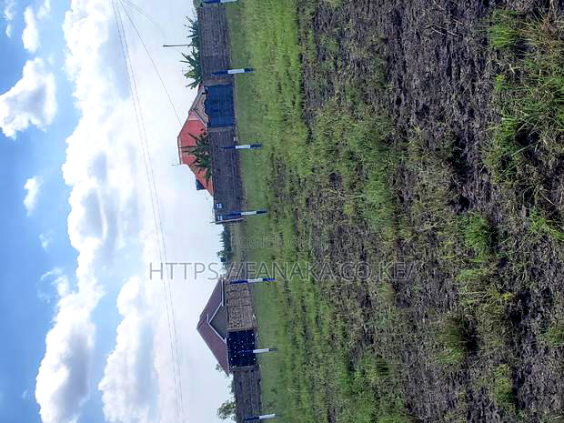 Jujasprings Phase 2^ PWWW