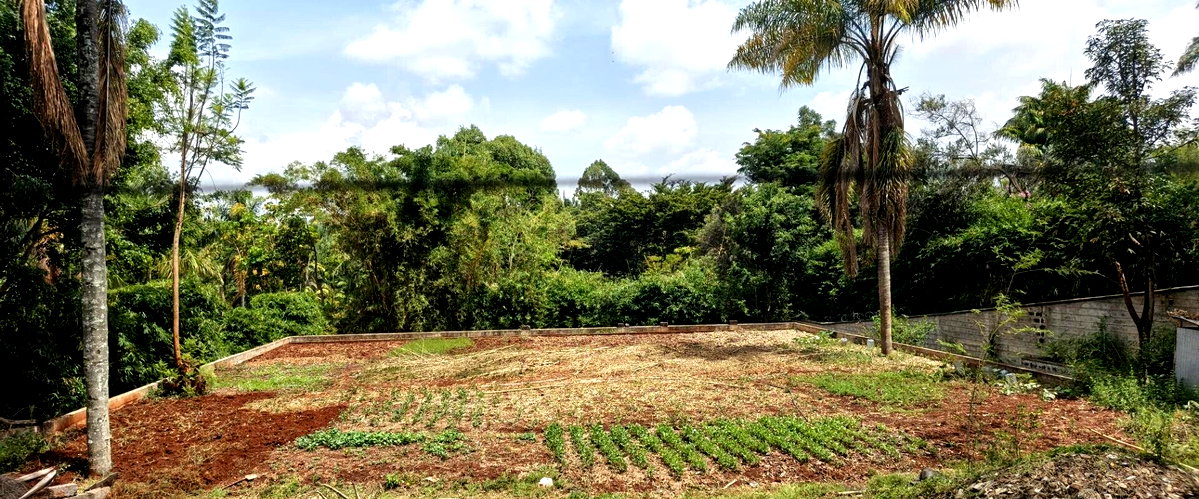 Gigiri's 0.5 Acre Gem for KSh 90M
