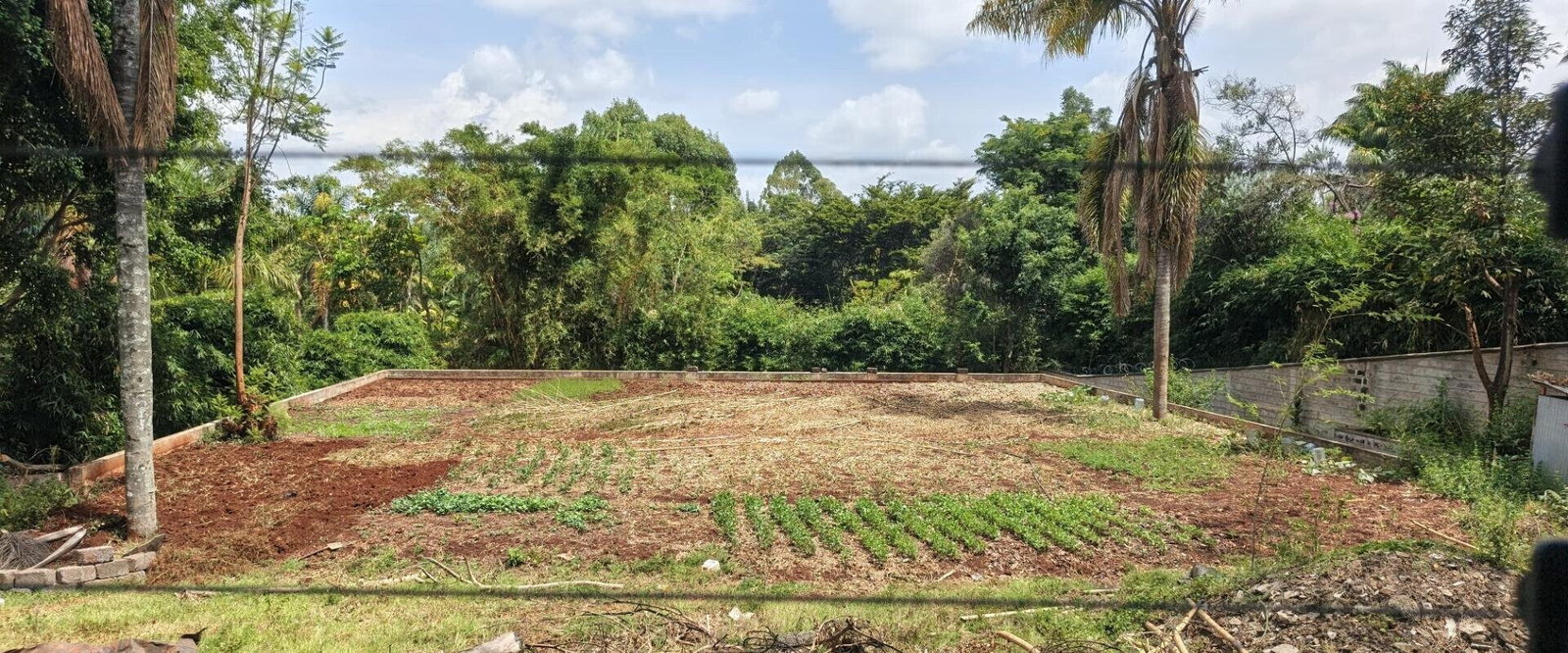 Gigiri's 0.5 Acre Gem for KSh 90M