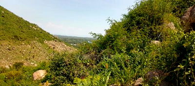 Plots in Kisian( Kisumu West) - Image 4