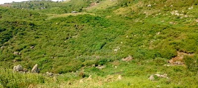 Plots in Kisian( Kisumu West) - Image 6