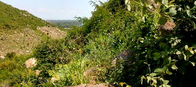 Plots in Kisian( Kisumu West) - Image 3