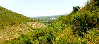 Plots in Kisian( Kisumu West) - Image 1