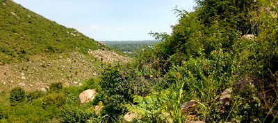 Plots in Kisian( Kisumu West) - Image 5