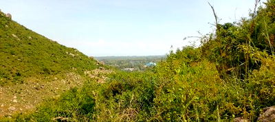 Plots in Kisian( Kisumu West) - Image 2