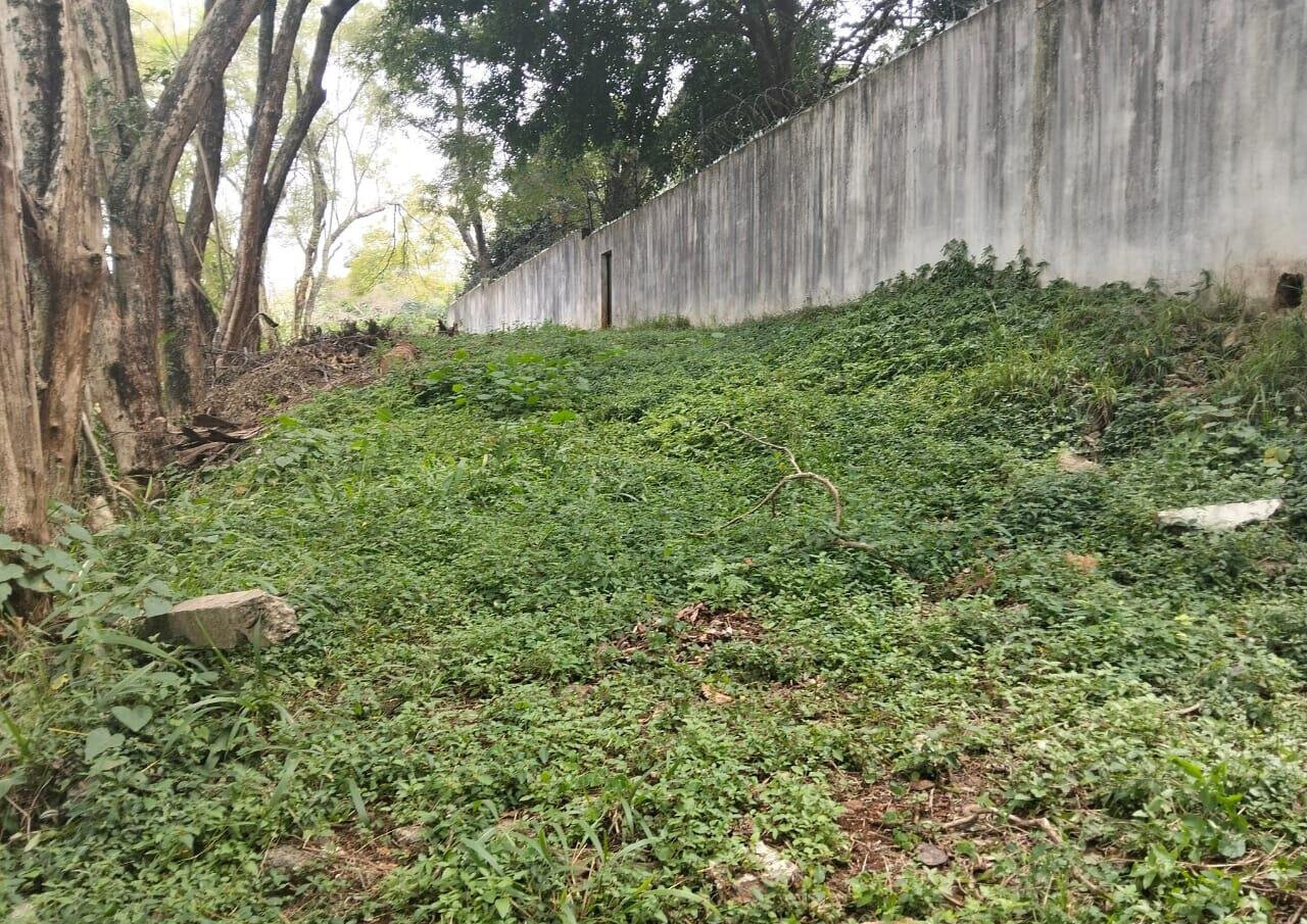 3.1-Acre Muthaiga Gem for KSh 140M
