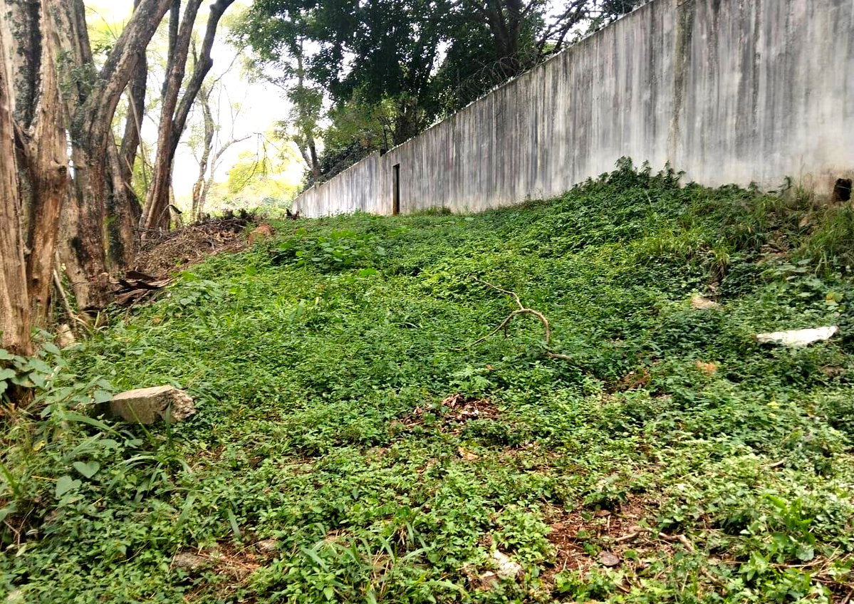 3.1-Acre Muthaiga Gem for KSh 140M