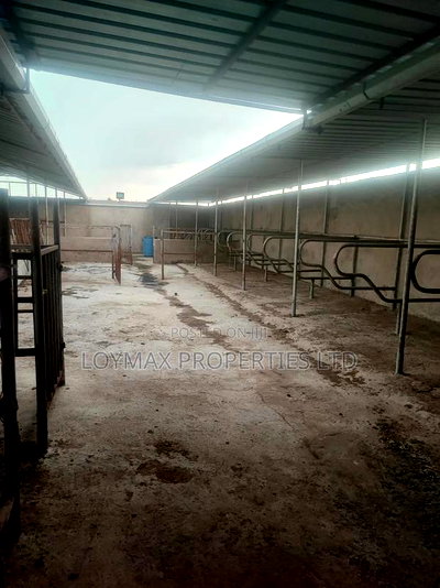 One Acre Developed Farm Land in Kitengela Isinya - Image 8