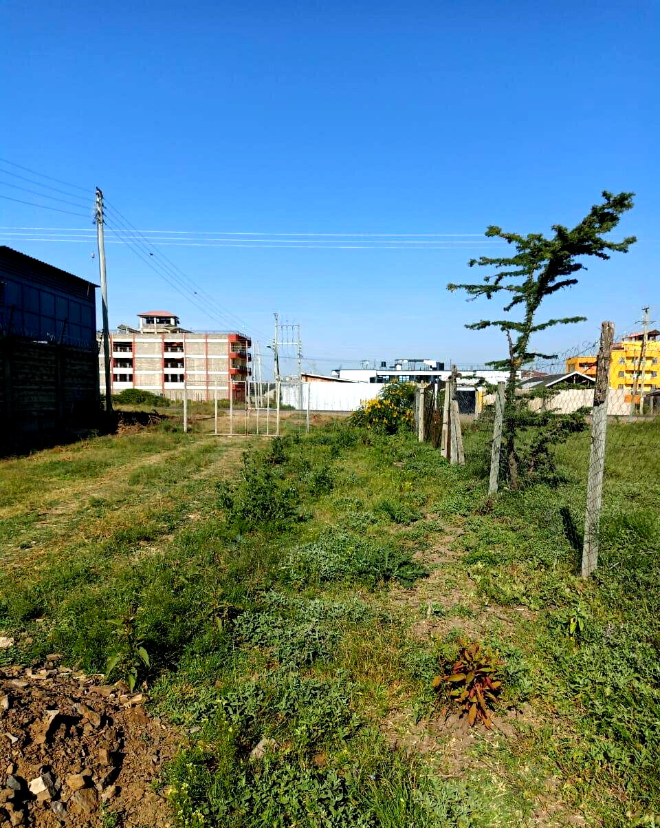 1 Acre Land Near Nanyuki Town