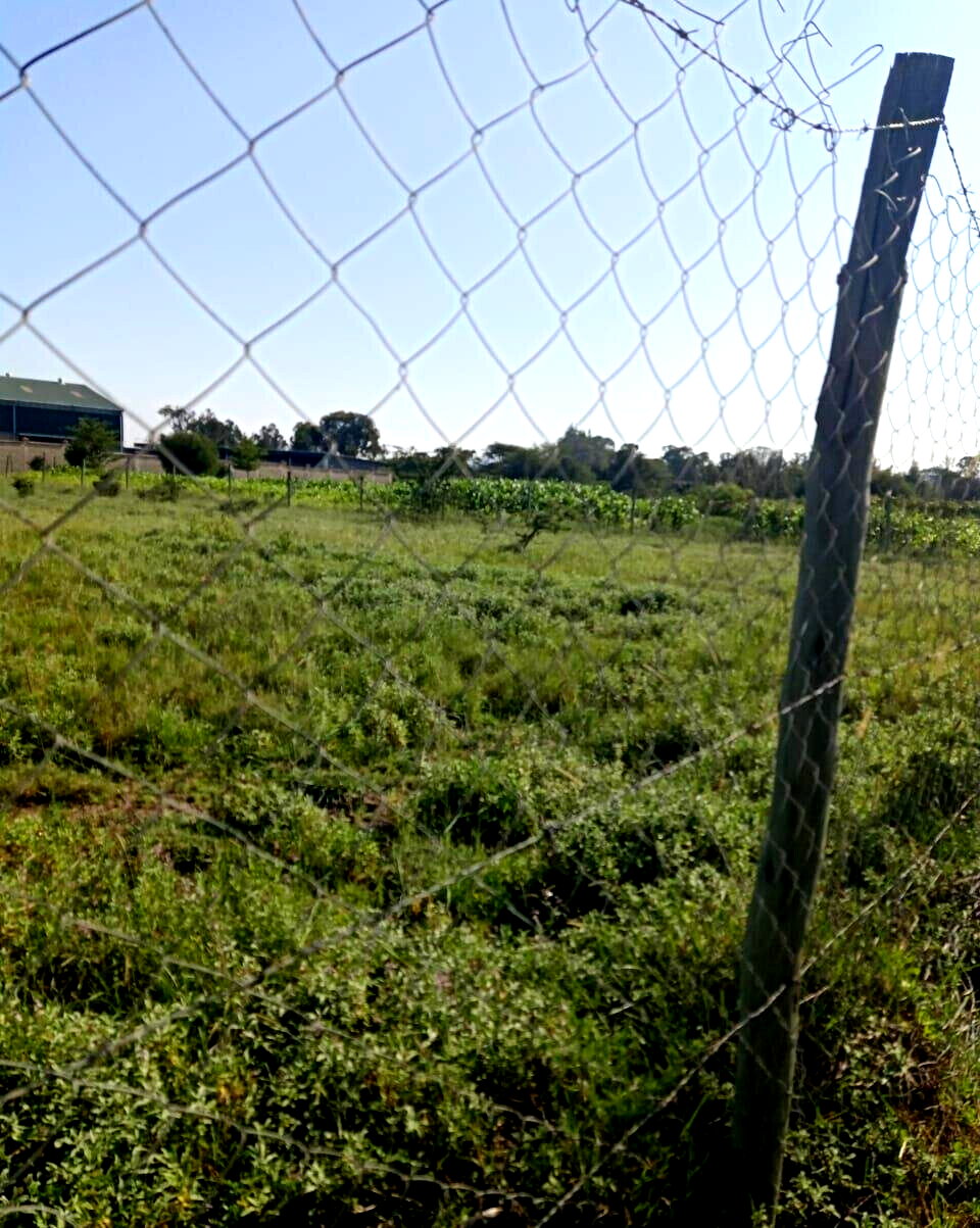 1 Acre Land Near Nanyuki Town