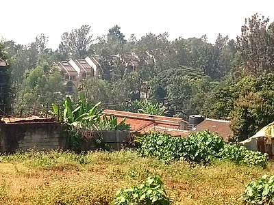 3/4 Acre for Sale at Thindigua - Image 9