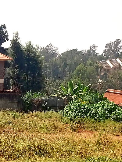 3/4 Acre for Sale at Thindigua - Image 7