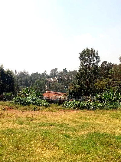 3/4 Acre for Sale at Thindigua - Image 3