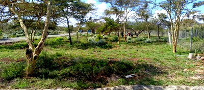 1/8 Acre Controlled Development Plots In Kimuka - Image 8