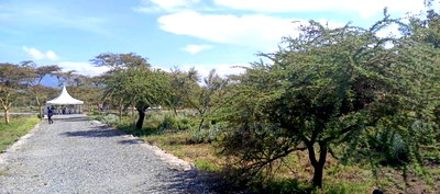 1/8 Acre Controlled Development Plots In Kimuka - Image 5