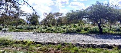 1/8 Acre Controlled Development Plots In Kimuka - Image 10