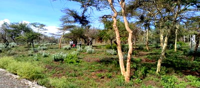 1/8 Acre Controlled Development Plots In Kimuka - Image 11