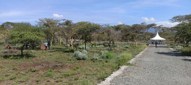1/8 Acre Controlled Development Plots In Kimuka