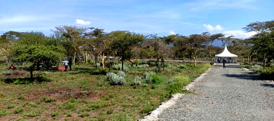 1/8 Acre Controlled Development Plots In Kimuka - Image 7