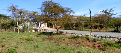 1/8 Acre Controlled Development Plots In Kimuka - Image 4