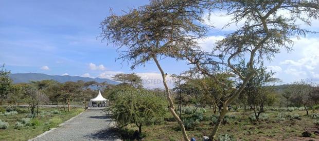 1/8 Acre Controlled Development Plots In Kimuka