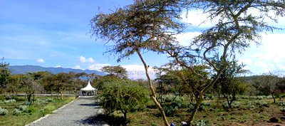 1/8 Acre Controlled Development Plots In Kimuka - Image 12