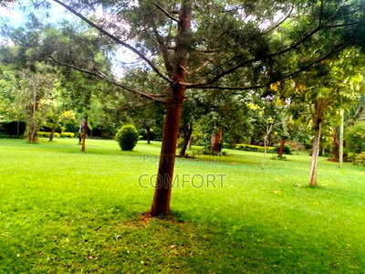 5bdrm Mansion in Karen for rent - Image 4