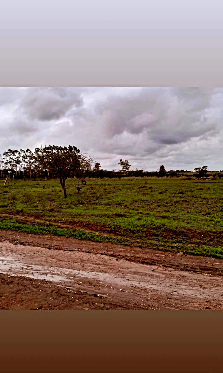 KSh 600K Plot in Kangundo
