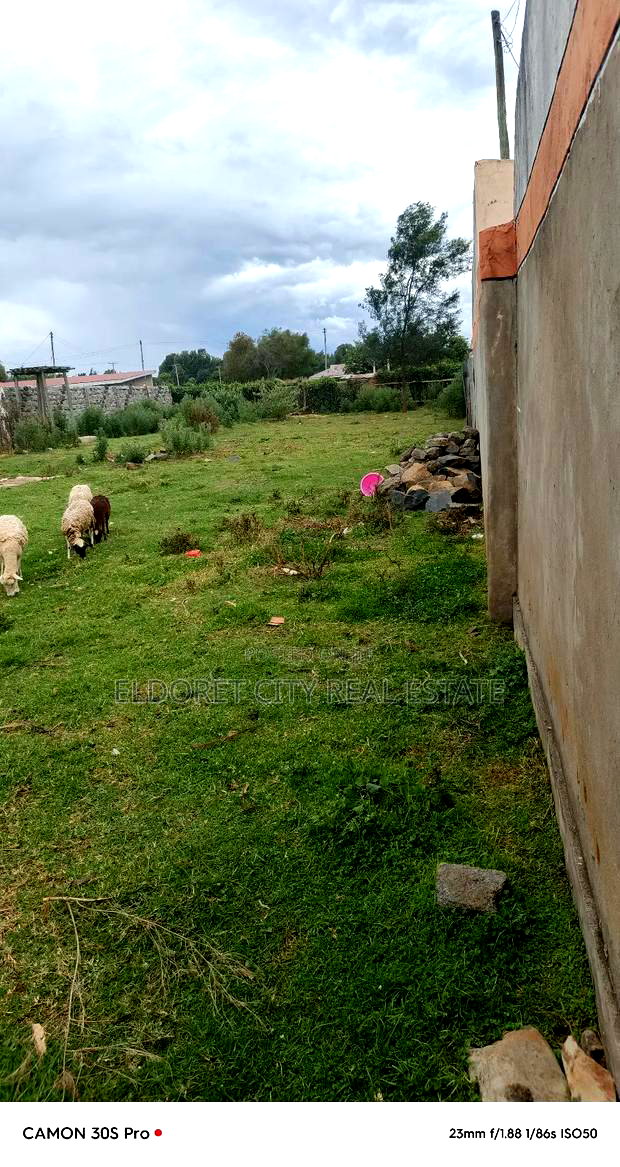 1/4 Plot Outspan Ideal for Residential With Title.