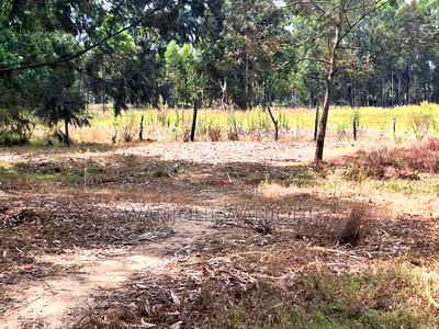 Premium Properties in Nyahururu - Image 4