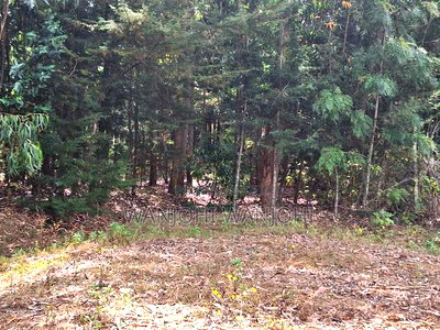 Premium Properties in Nyahururu - Image 5