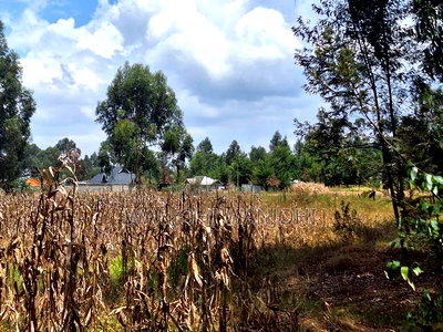 Premium Properties in Nyahururu - Image 3