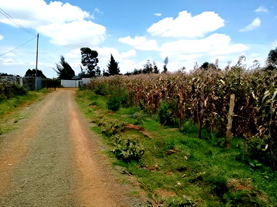 1/4 or 1/2 Acre Kapseret Kericho Ndogo