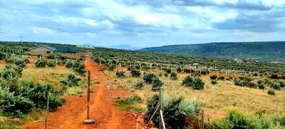 50*100 Ngong-Kimuka - Image 2