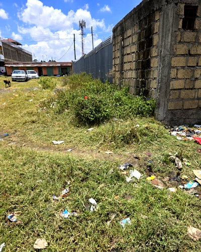 1/8 Acre Garden Plot at KSh 2M