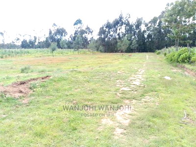 Prime Plots in Nyandarua County - Image 3