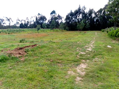 Prime Plots in Nyandarua County - Image 9