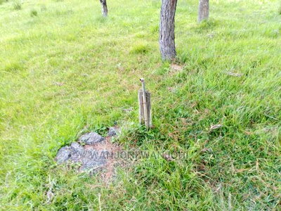 Prime Plots in Nyandarua County - Image 8