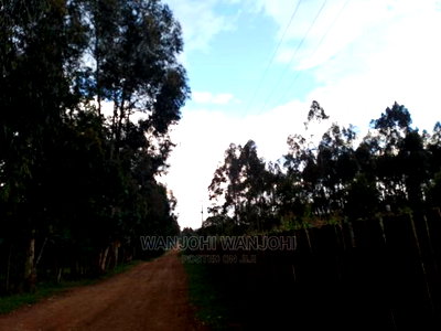 Prime Plots in Nyandarua County - Image 2