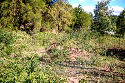 Prime Commercial Plot for Sale in Kikuyu, Ondiri-Kamangu. - Image 6