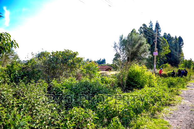 Prime Commercial Plot for Sale in Kikuyu, Ondiri-Kamangu.