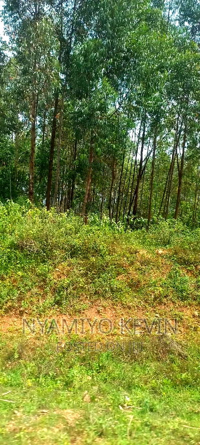 Busia Bugeng'i Site - Image 2