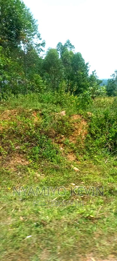 Busia Bugeng'i Site - Image 1