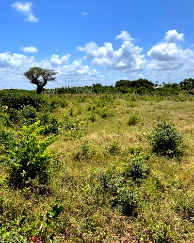 Half-Acre Plot for KSh 5M