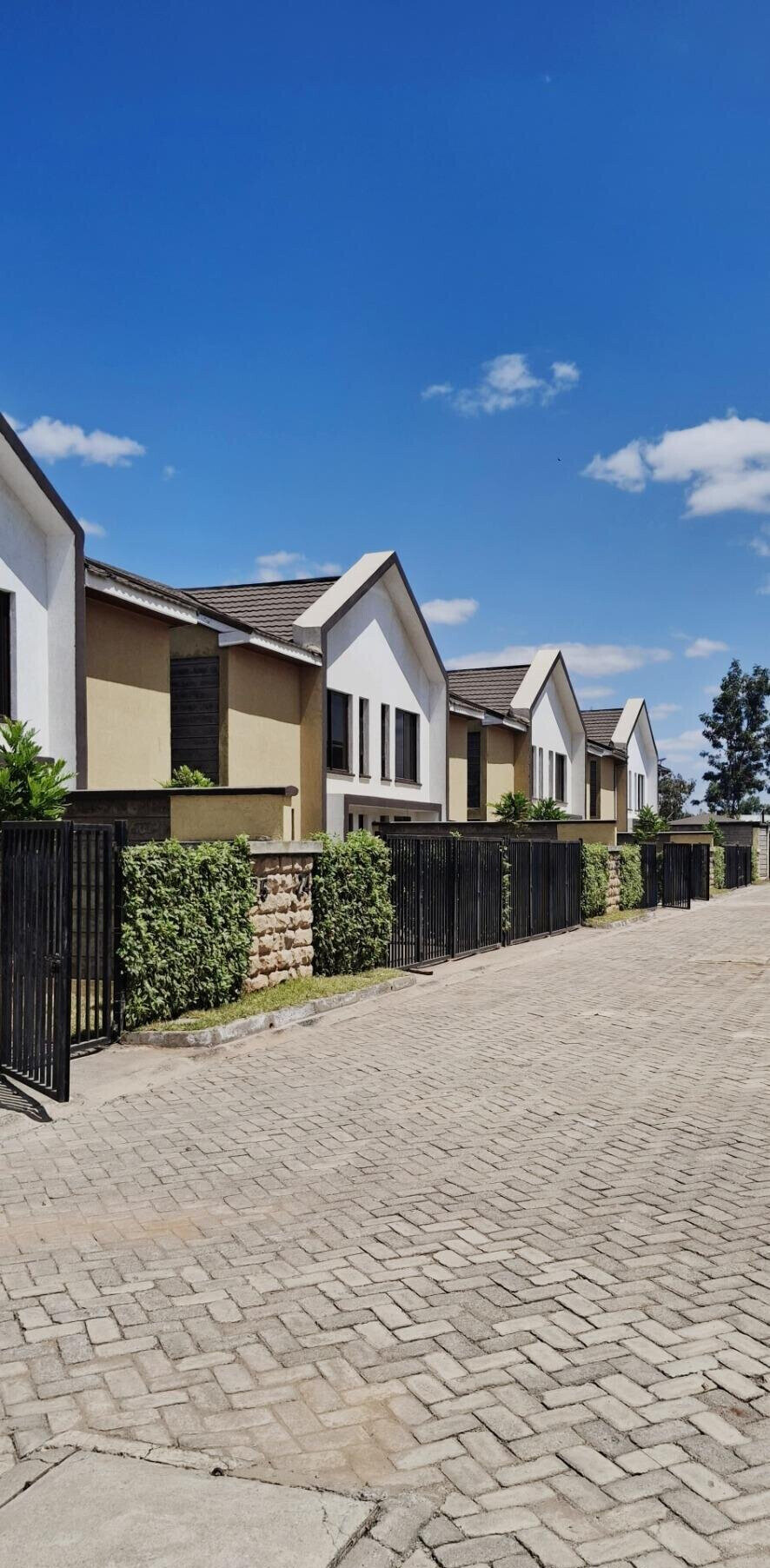 4BR Townhouse with DSQ & CCTV - Just Off the Tamarack, Syokimau