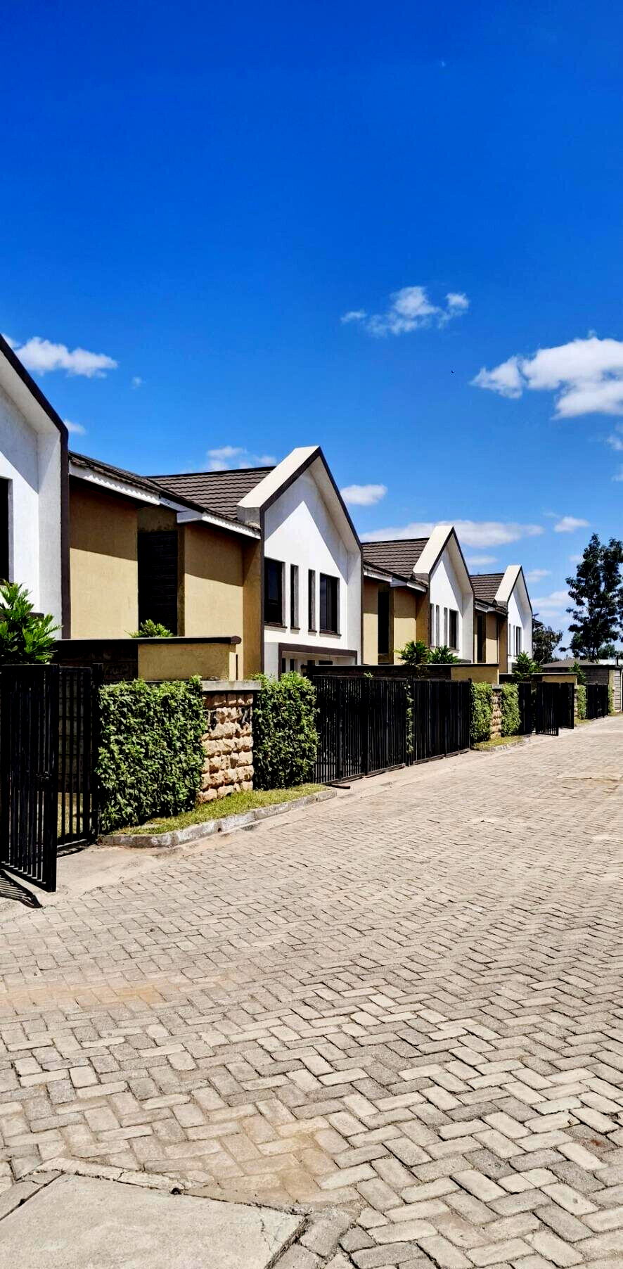 4BR Townhouse with DSQ & CCTV - Just Off the Tamarack, Syokimau