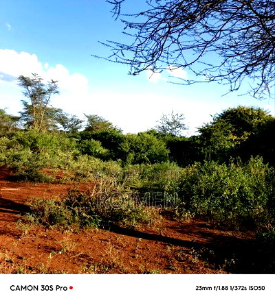 13 Ekali Entarara Kwa 500,000 Kila Eka - Image 3