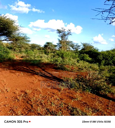 13 Ekali Entarara Kwa 500,000 Kila Eka - Image 5