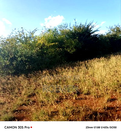 13 Ekali Entarara Kwa 500,000 Kila Eka - Image 7