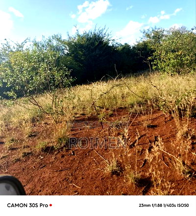 13 Ekali Entarara Kwa 500,000 Kila Eka - Image 8